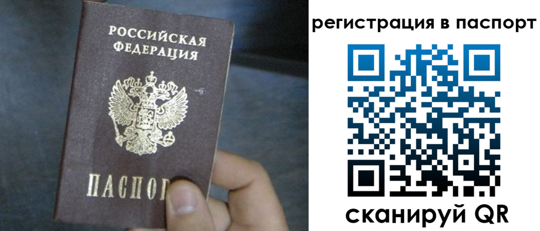 прописка 2025 в Балтийске